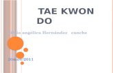 presentacion tae kwon do