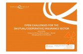 Open challenges for the (mutual/cooperative) insurance sector