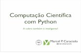 Computação Científica com Python, Numpy e Scipy