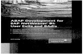 65566774 ABAP Development for SAP NetWeaver BI User Exits and BAdls