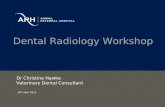 ARH Dental Radiology Workshop