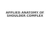 applied anatomy of shoulder joint