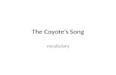 The Coyote's Song