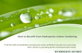 How to Benefit from Hydroponic Indoor Gardening