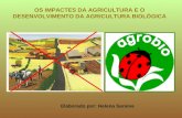4.impactes e agricultura_biologica