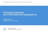 Negociaciones Internacionales y Mercados Emergentes, Niclas Svenningsen, UNFCCC