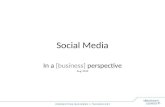 Business perspectives in social media