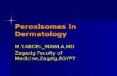 Peroxisomes in dermatology