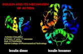 Insulin and its mechanism of action
