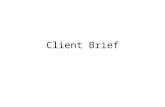 Client brief (1)