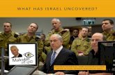 What Has Israel Uncovered?