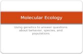 Molecular ecology lecture