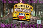Owairoa Magic School Bus