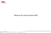 Manual SAP Business ONE