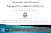 Business intelligence data warehouse