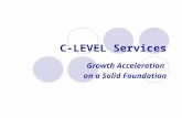 C Level Client Presentation(2)