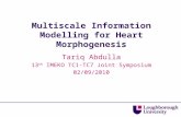 Multiscale information modelling for heart morphogenesis, Abdulla IMEKO 2010