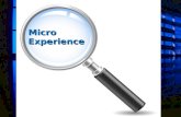 Micro Experience during GCDP in Indonesia