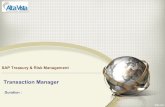 Sap trm   treasury & risk management