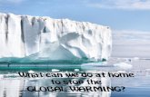 What can we do at home to stop the GLOBAL WARMING?