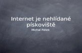 NMI12: Michal Pátek - Internet je nehlídané pískoviště
