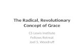 The radical, revolutionary concept of grace power point