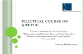 Practical course on qRT-PCR