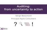 Auditing  From Uncertainity To Action