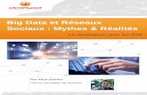 Livre blanc "Big Data et Réseaux Sociaux : mythes & réalités – la déclinaison pour les Réseaux Sociaux d’Entreprise" par Alain Garnier