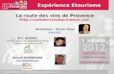 Salon etourisme - Atelier exp©rience etourisme "route des vins"