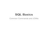 Sql basics  joi ns and common commands (1)