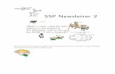 SSP Newsletter 2 - A Focus on the Spelling Clouds