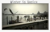 Winter In Venice 2