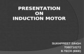 3phase induction motor(Sukhpreet)