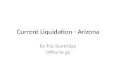 Current Liquidation   Arizona