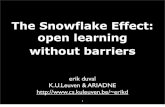 The Snowflake Effect: open learning without barriers