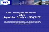 1 Foro Intergubernamental sobre Seguridad Química (FISQ/IFCS) Un singular mecanismo multisectorial para identificar prioridades, elaborar estrategias,