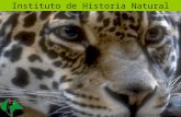 Instituto de Historia Natural. Organismo Público Descentralizado de Gobierno del Estado de Chiapas Administración de Proyectos: Gasto Corriente Inversión.