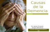 Causas de la Demencia Ps Jaime Ernesto Vargas Mendoza Asociación Oaxaqueña de Psicología A.C. 2011.
