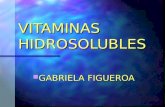 VITAMINAS HIDROSOLUBLES GABRIELA FIGUEROA GABRIELA FIGUEROA