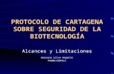 PROTOCOLO DE CARTAGENA SOBRE SEGURIDAD DE LA BIOTECNOLOGÍA Alcances y Limitaciones Rossana Silva Repetto PNUMA/ORPALC.