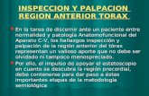 INSPECCION Y PALPACION REGION ANTERIOR TORAX En la tarea de discernir ante un paciente entre normalidad y patología Anatomofuncional del Aparato C-V, los.