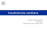 Insuficiencia cardíaca Guido Ulate Montero Catedrático Departamento de Fisiología, UCR.