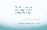 Síndrome de Hipertensión Endocraneal. Universidad de Costa Rica. Dr. Jorge A. Fernández Alpízar.