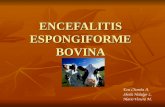 ENCEFALITIS ESPONGIFORME BOVINA Eva Chomba A. Sheila Hidalgo L. Mario Venero M.