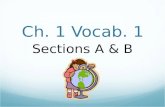 Ch. 1 Vocab. 1 Sections A & B. Greeting People Hola: Buenos días: Buenas tardes: Buenas noches: Hello Good morning/day Good afternoon Good evening/night.