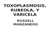 TOXOPLASMOSIS, RUBEOLA, Y VARICELA RUSSELL MANZANERO.