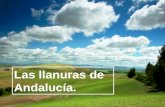 Las llanuras de Andalucía.. Recordemos cuáles eran las principales unidades de relieve de Andalucía: EL RELIEVE DE ANDALUCÍA. ZONAS LLANAS ZONAS MONTAÑOSAS.