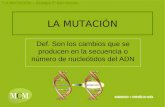 LA MUTACIÓN – Biología 2º bachillerato LA MUTACIÓN Def. Son los cambios que se producen en la secuencia o número de nucleótidos del ADN.
