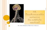 Dr. José Roberto Martínez Abarca 30/01/2014 1. C ONTENIDOS Enumere los órganos del sistema nervioso central y del sistema nervioso periférico. Mencione.